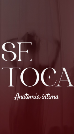 Módulo 1 - Anatomia Íntima